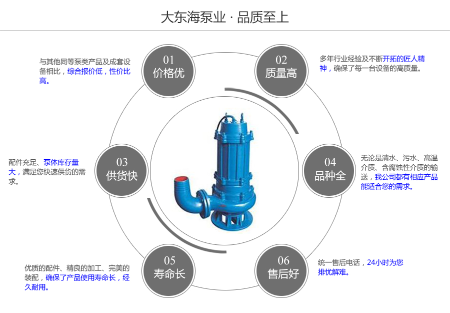 大東海泵業(yè)污水潛水泵質(zhì)量保證圖