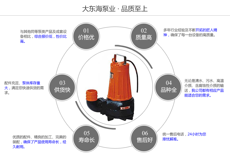 大東海泵業撕裂式潛水泵質量保證圖